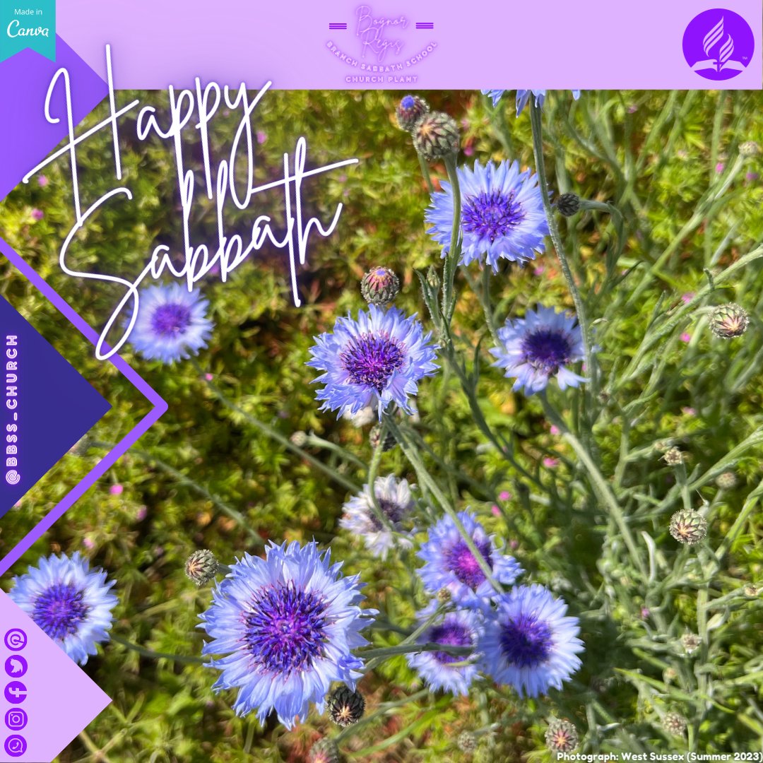 Happy Sabbath everyone 🤗 Blessings to you all 🙏 ￼￼

#seventhdayadventist #sda #adventist #sabbath #happysabbath #virtualchurch #bbss_church #bbss #bognorchurch #westsussex #creation