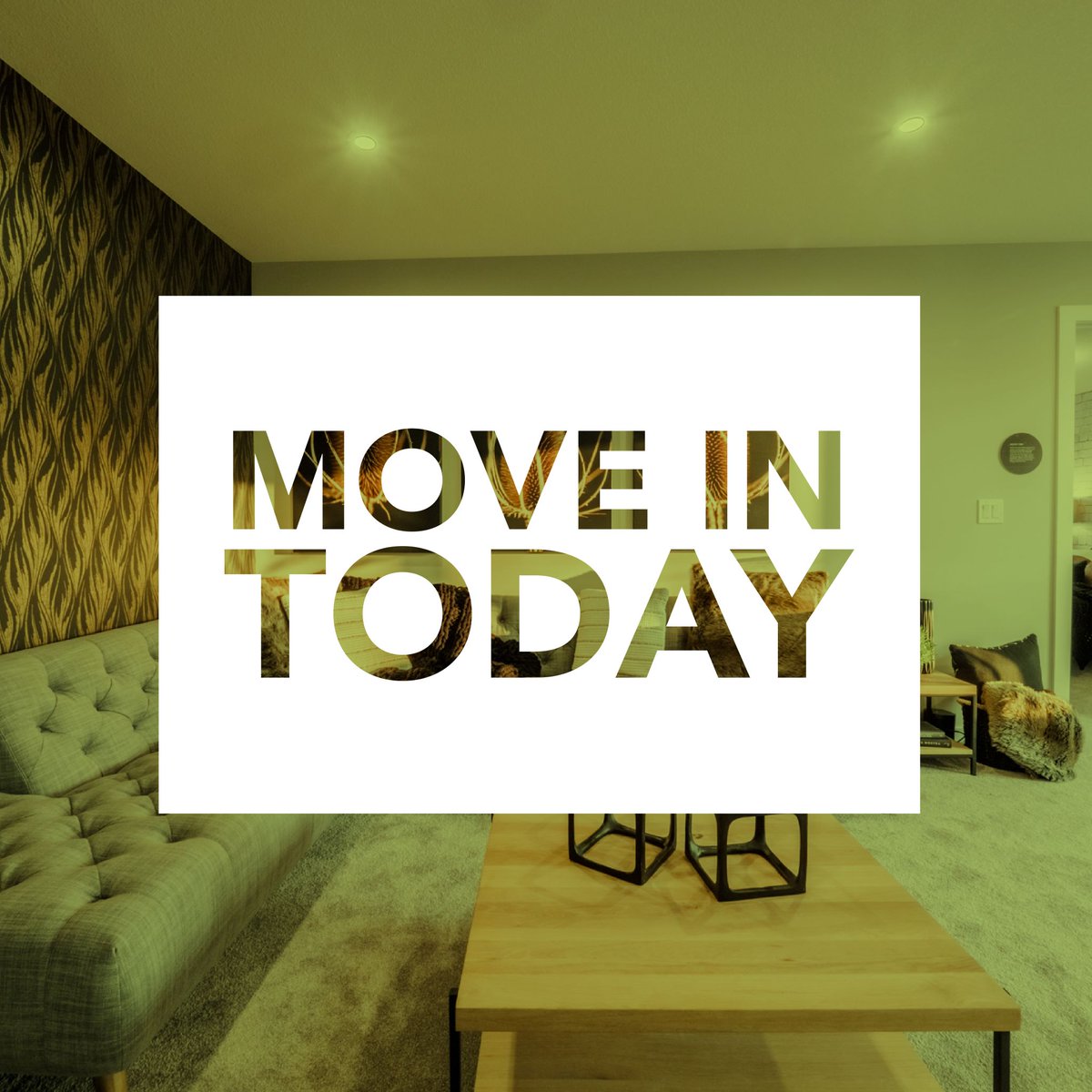 No need to wait! We have a variety of move-in ready homes across Edmonton, Spruce Grove, Leduc and Red Deer!

Learn more: bedrockhomes.ca/quick-possessi…