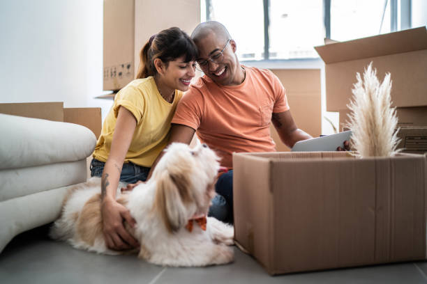 Stanford_VL's tweet image. How do you typically handle packing for a move? Would you prefer a moving company to take care of this for you? #affordablemoversnearme #helpmemove
#mostaffordablemovingcompany #trustedmoving #stressfreemove #top10longdistancemovers