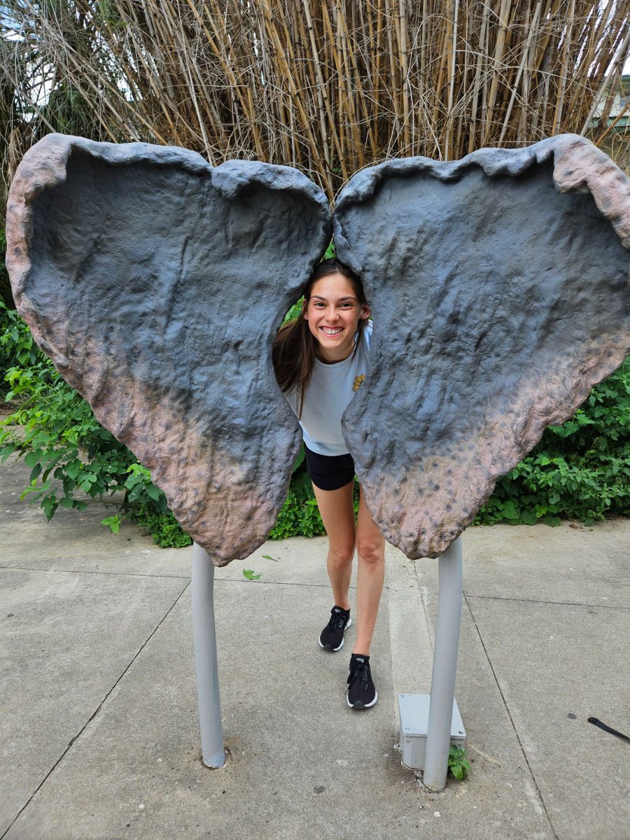 Mrs. Fischer, M.Ed. tweet media