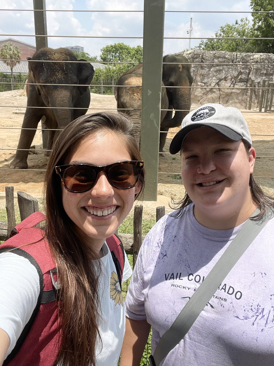 Mrs. Fischer, M.Ed. tweet media