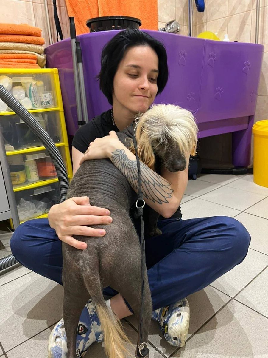 mirimirrrii's tweet photo. МОСКВА СРОЧНО 

китайского хохлатого хотят усыпить 😭 мальчик, 2 года

я бы забрала, но у меня уже три собаки 🥺 

хозяин, отзовись! https://t.co/QTjSRML20m
