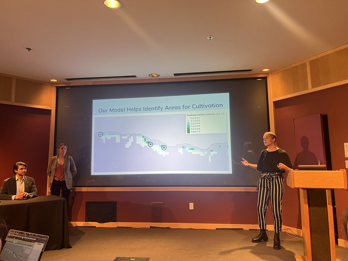 ucsb_nceas's tweet photo. Next up, let’s learn about giant kelp 🌱 Erika, Jessica, Javier, and Elke discussed their #DataScience synthesis, compiling nutrient and species data across the Santa Barbara channel. This let them deliver the optimal locations for the client @ORainforest to cultivate more kelp! https://t.co/mrfL305oVS