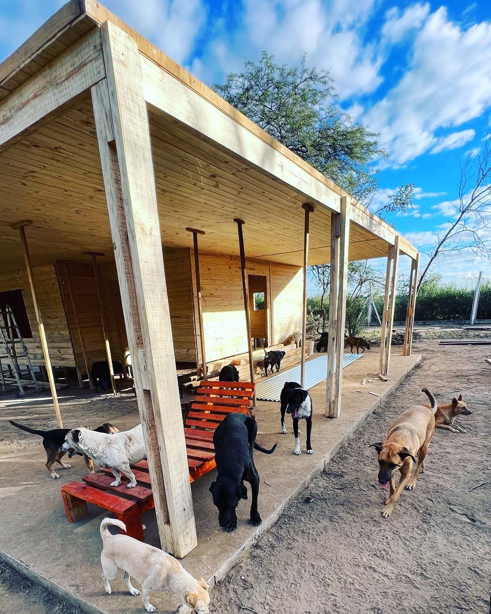 canichones's tweet photo. CABAÑA1 va queriendo 🐶🐶🐶❤️

Hoy tocaba armar las galerías Tremendo laburo. Excelente empresa. Súper recomendables !! 

#CabañasCatamarca #refugioelmontecito #Canichones #SantiagoDelEstero #CasaDeMadera #BuenaGente https://t.co/DqlCEVuadX