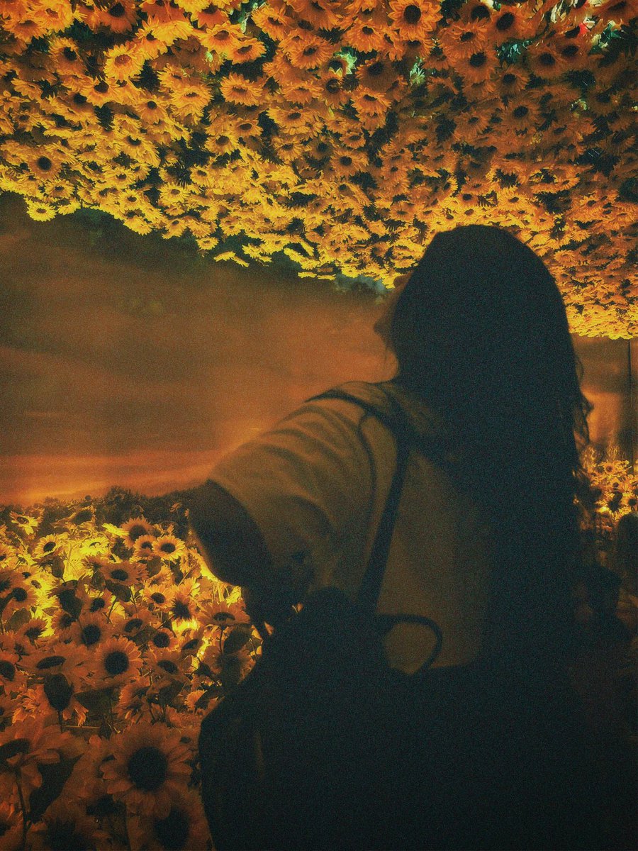 julyaaara's tweet photo. #vangoghlive 💙 https://t.co/B9GpNO4YRj