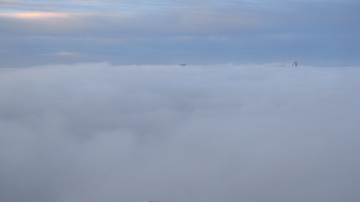 See ya later, Coat Hanger! 🌉 <a href="/9NewsSyd/">9News Sydney</a>