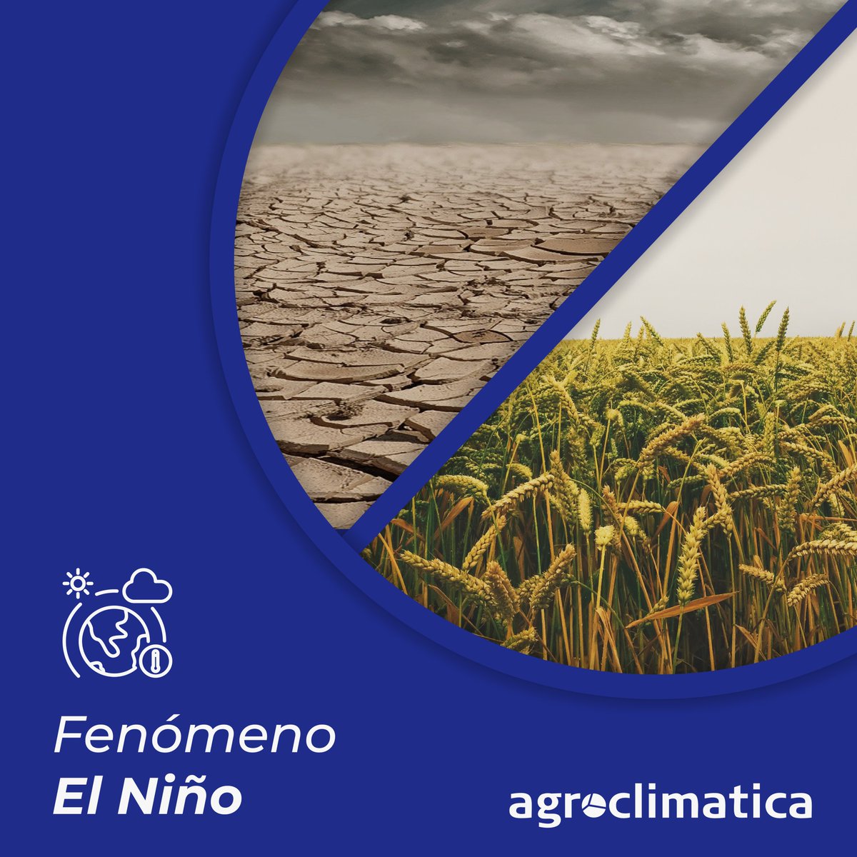 agroclimatica's tweet photo. El fenómeno “El Niño”, genera sequía (Centro América) e inundaciones (Sur América: Ej. Ecuador). Agroclimatica ha actualizado los escenarios de lluvia relacionados con la variabilidad climática asociadas a la presencia de “El Niño”. Solicite un demo aquí: https://t.co/SeXFMFY2fP https://t.co/EyAYRK6ZaQ