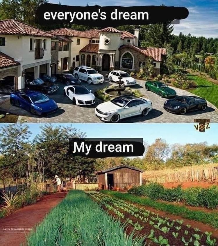 ecofriendlyfact's tweet photo. it will come true, I'm sure 💚

#gardengoals #plantyourownfood #getgrowing #greenhousegoals #vegetablegrowing #vegetablegardening #fromseed #growtoeat #permaculturegarden #diygardening #seedsaving https://t.co/TK7OuaBB4u