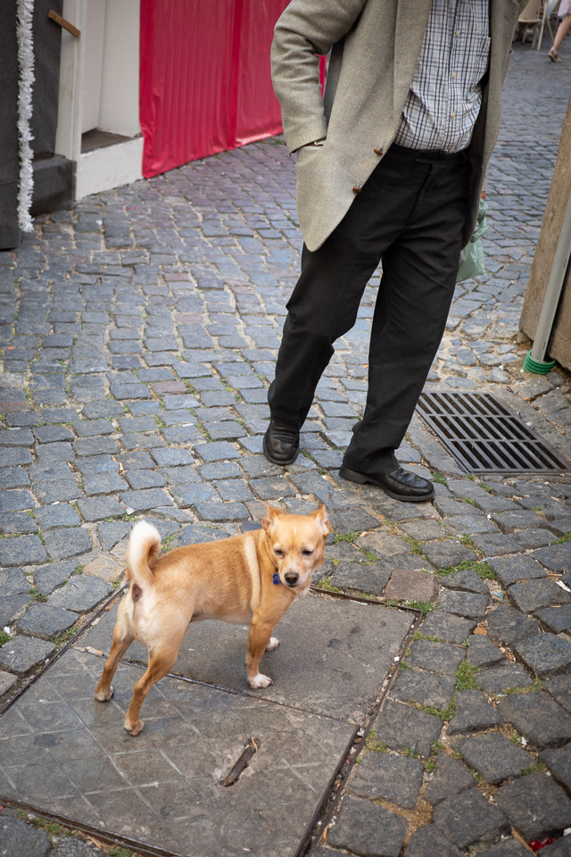 #lisbon #streetphotography #photography #vancouverphotographer