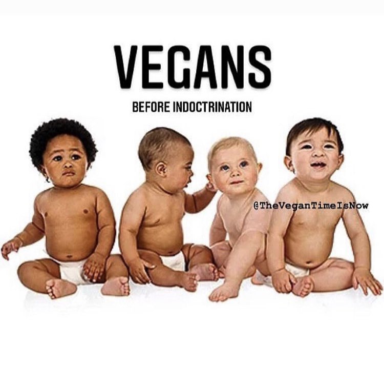 “You put a baby in a crib with an apple and a rabbit. If it eats the rabbit and plays with the apple, I’ll buy you a new car.” -Harvey Diamond
 _

#thevegantimeisnow
#HarveyDiamond #veganlife #everydaypower #baby #babies  #leadership #babyhealth facts  #benefits and 🌱  #repost