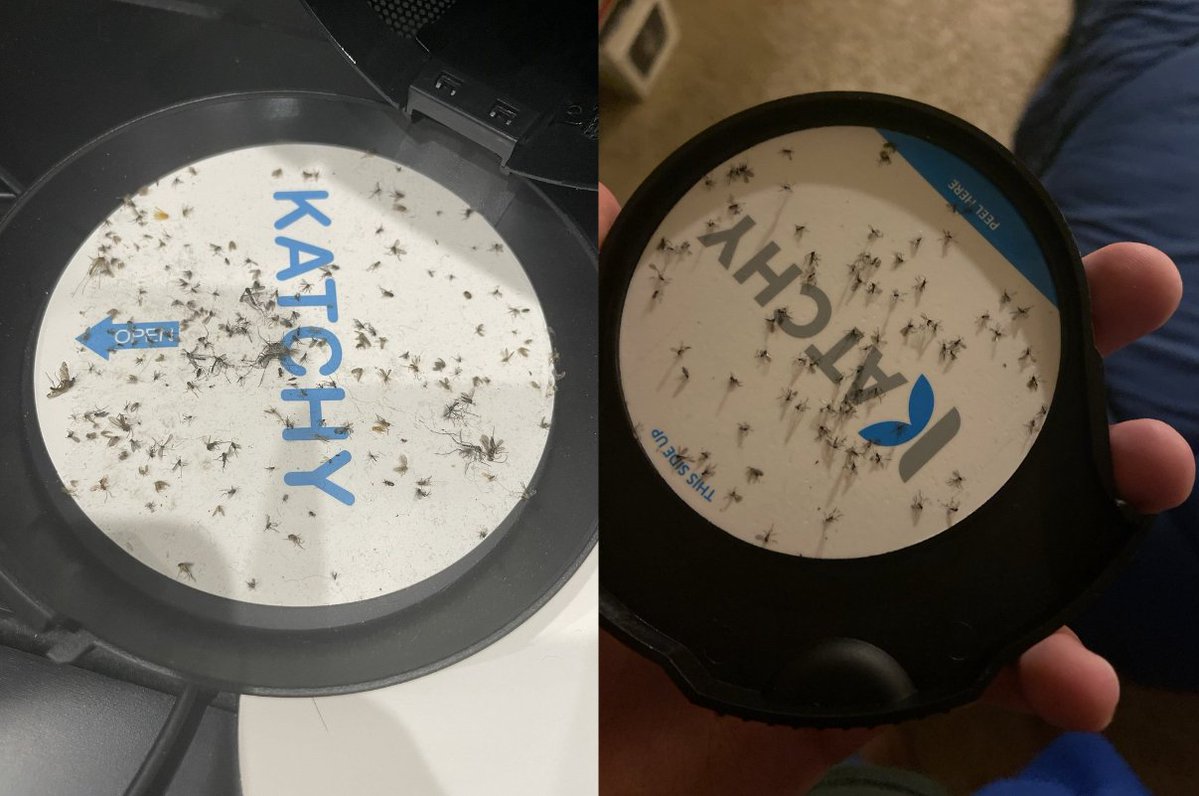 FatKidDeals's tweet photo. Wave goodbye to pesky insects with Katchy Indoor Insect Trap! 🦟✨ Its UV light lures bugs in, while the powerful fan sucks them in. Say hello to bug-free nights!

Get it on sale for as low as $28.49, was $44.99!

Save 25% with promo code 25KATCHYJUNE

https://t.co/4OA0kJmAWR https://t.co/f7qIyRLqwL