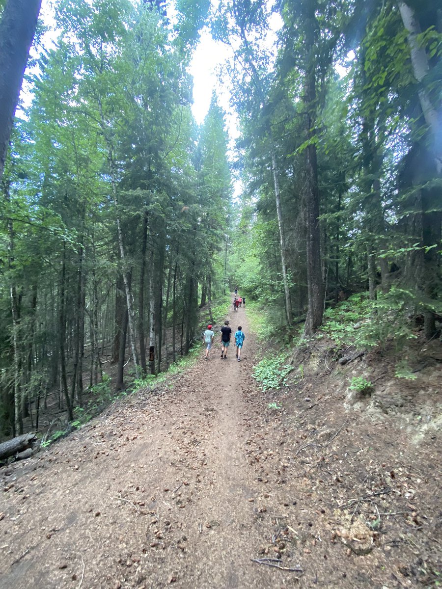 Marie Fanshaw tweet media