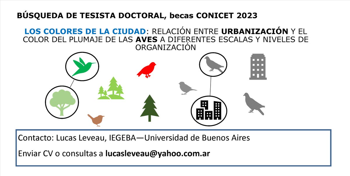 Lucas Leveau tweet media