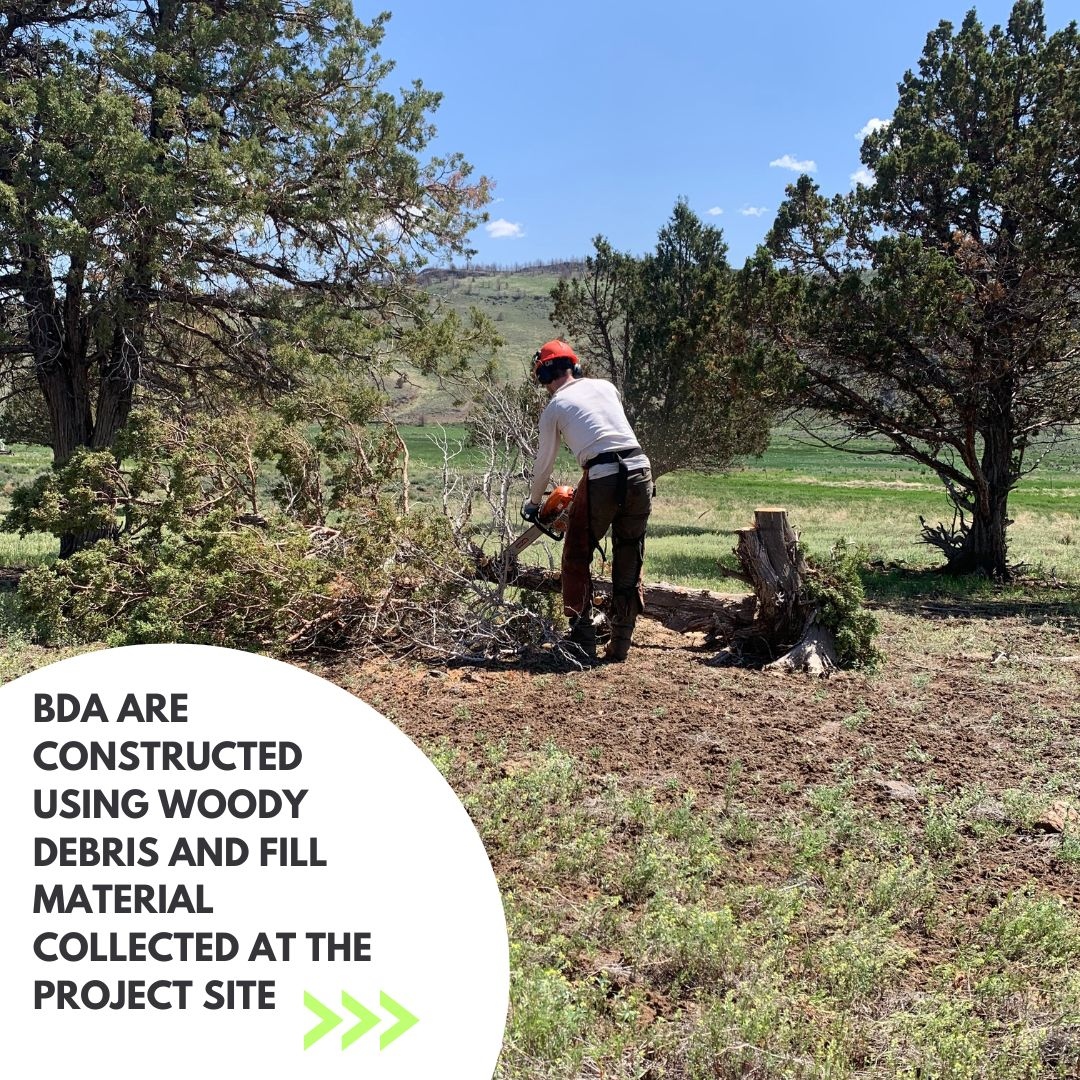 BDAs are a great example of low tech process based restoration and are integral mechanisms for restoration projects here at Anabranch. Check out this post created by Oregon restoration crew member Benjen Lilly to learn more. 

#riverrestoration #beaver #beaverbeliever #ltpbr