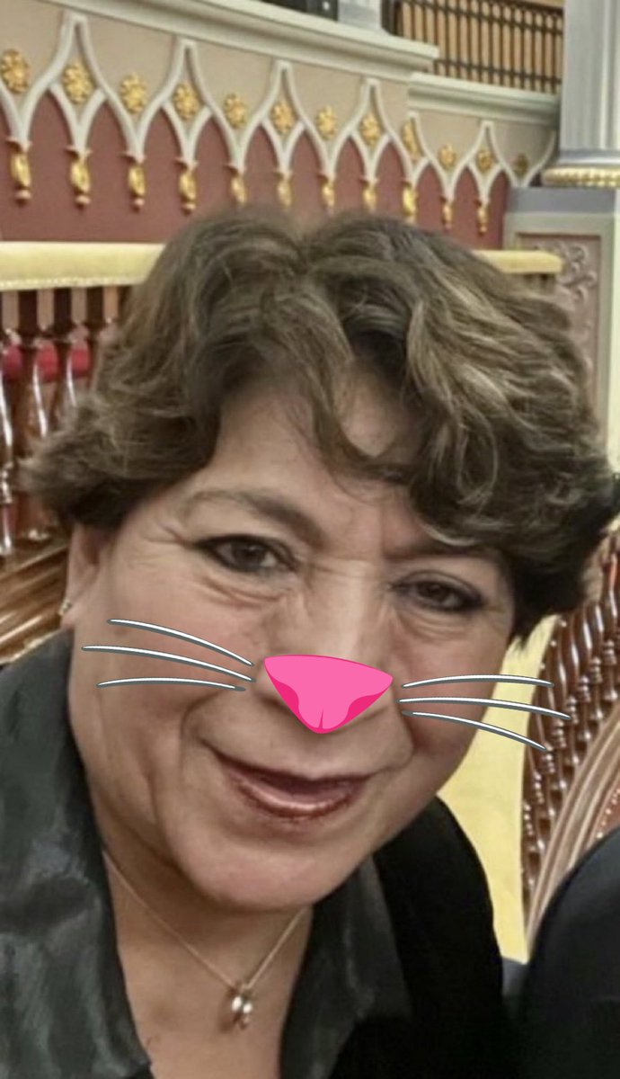 rchilab's tweet image. Estimados Mexiquenses, ¿le confiarían su voto a ésta delincuente electoral? 
@delfinagomeza
#corrupta
❤️Si.   RT  No.