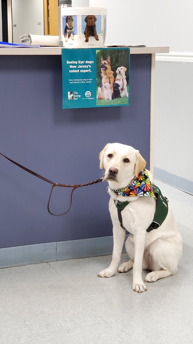 Gilly, Ziva, and Yuki wish Mr Letson a happy retirement and thank him for his support for the Seeing Eye @Middletownsac <a href="/MiddsouthNation/">Midd South Nation</a>