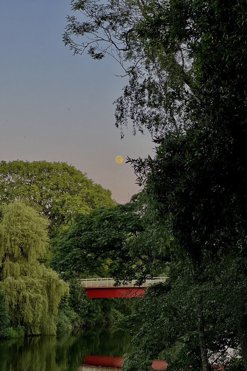 The walk back from the cricket <a href="/GlamCricket/">Glamorgan Cricket 🏆</a>