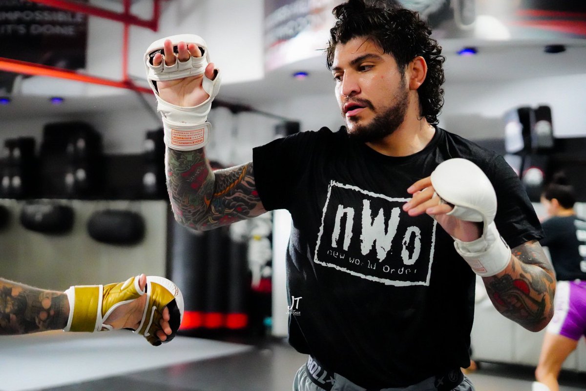 dillondanis's tweet photo. give me any fighter in the world at any weight i put them down in 1. https://t.co/jdZIiSYwxC