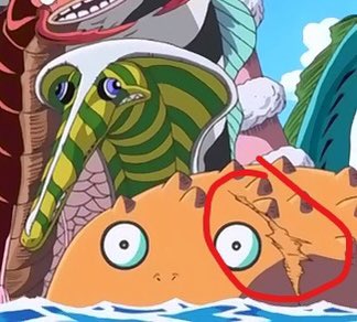 one piece rei dos mares