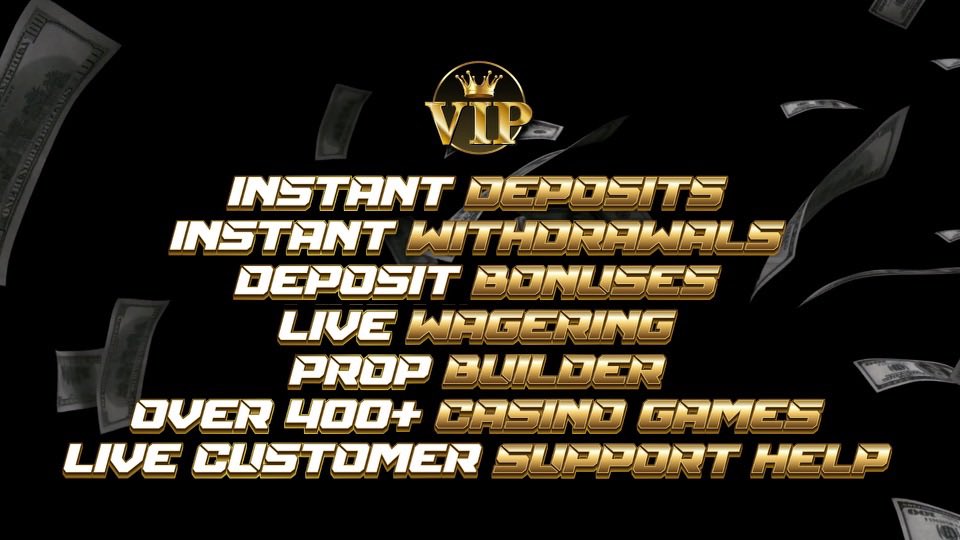 VIP Club tweet media
