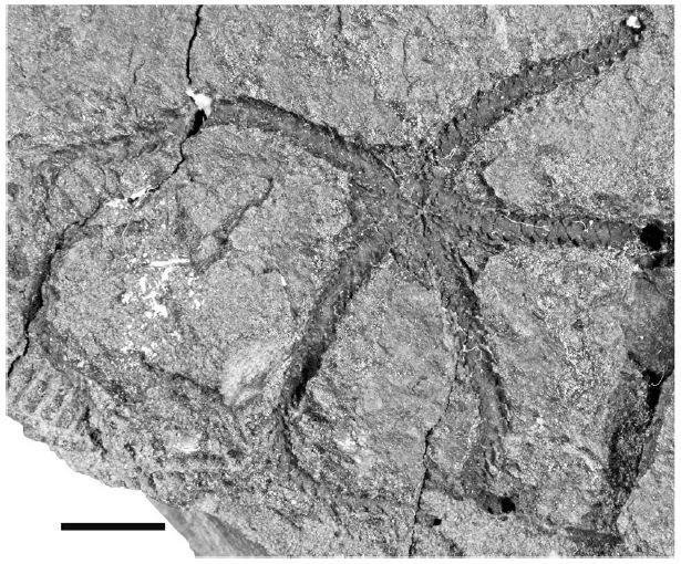 Ben Thuy & Lea Numberger tweet media
