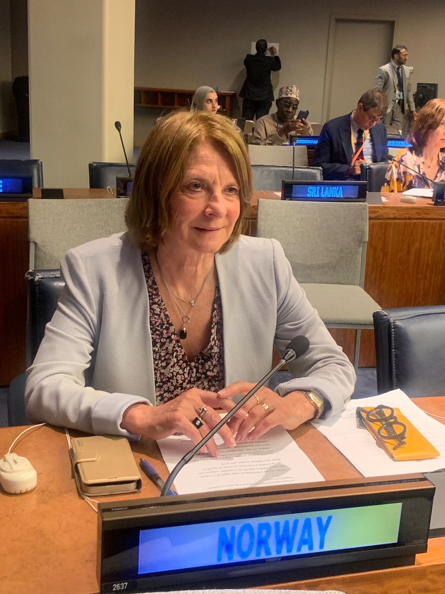 NorwayUN tweet media