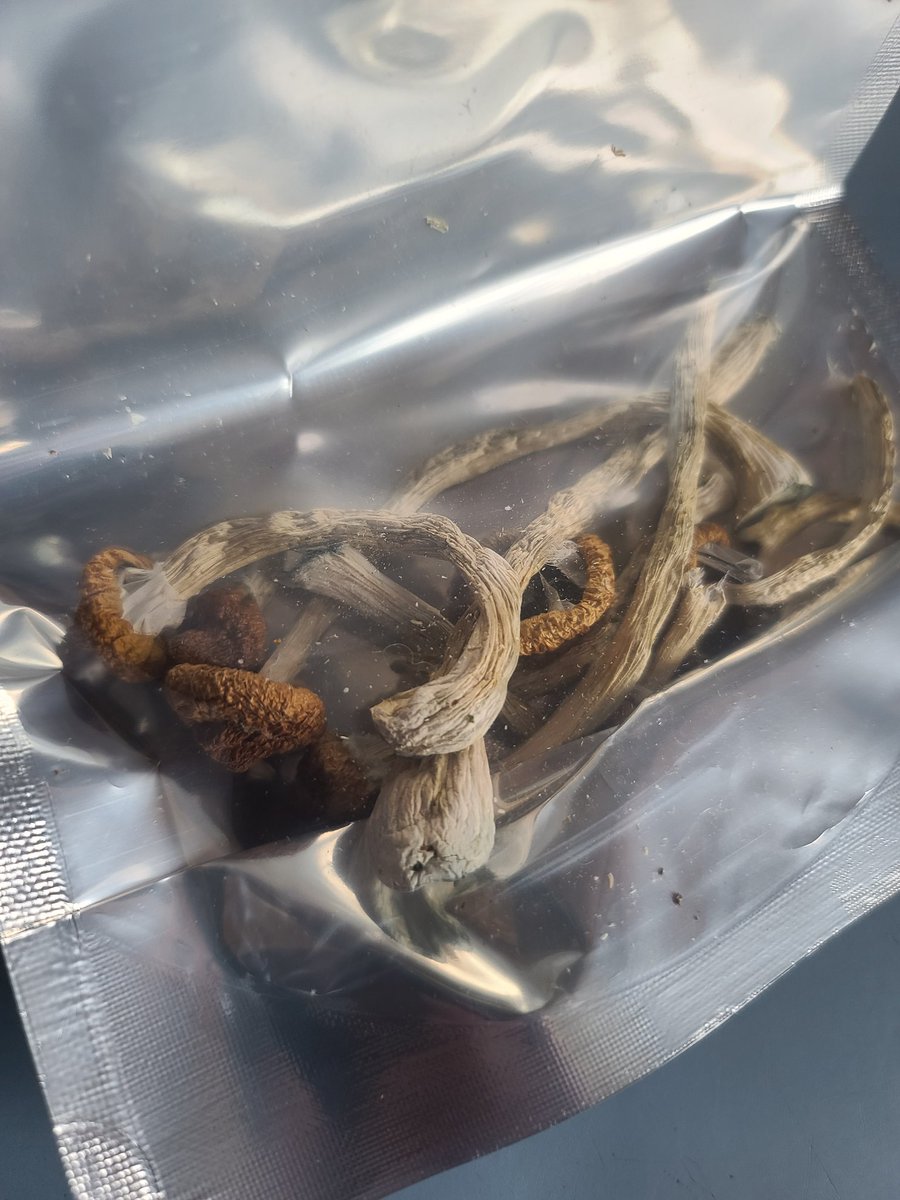 MapleSoupNL's tweet photo. Would this be considered performance enhanced gaming?

#mushrooms #mobilegaming 
#stoned #headtrip https://t.co/XcMZPoA6Wg