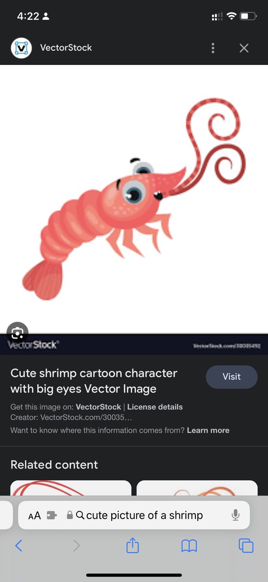 one last shrimp for you all 🫡