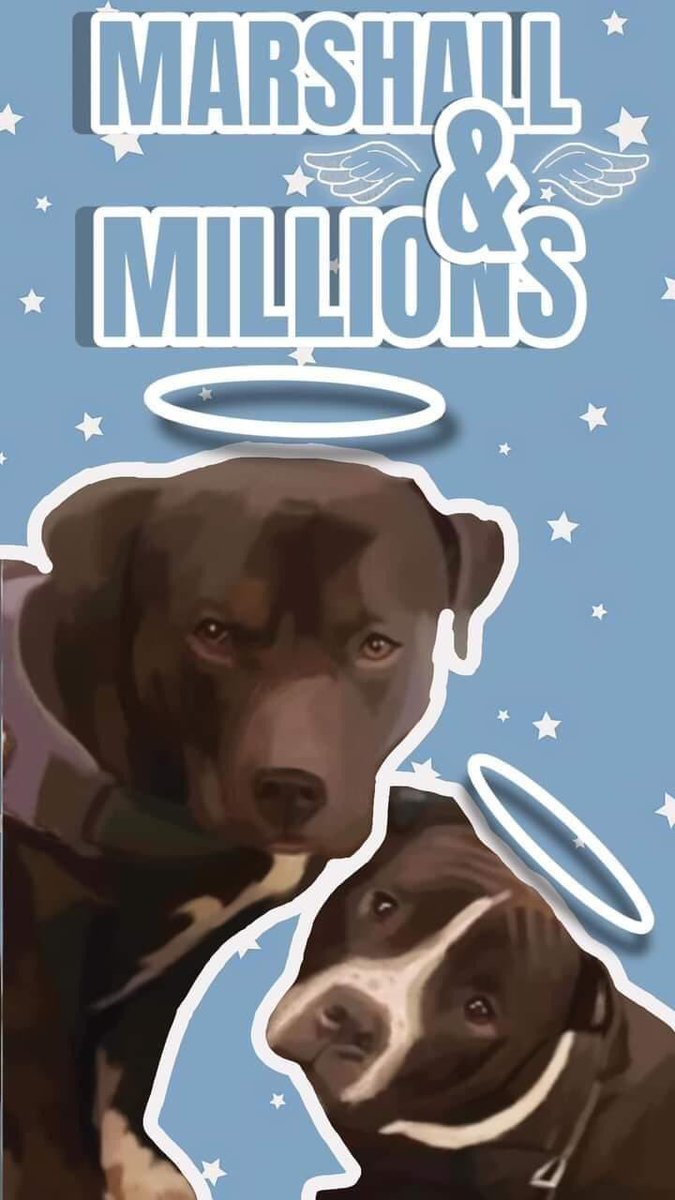 Vigil at 1 p.m. on Sunday 4th June on the Isle of Sheppey: fb.me/e/TkCk0RY0 | fb.me/e/189bl9Zjl #MarshallandMillions #Dogs #Law #MetropolitanPolice #Vigil #IsleofSheppey #Kent