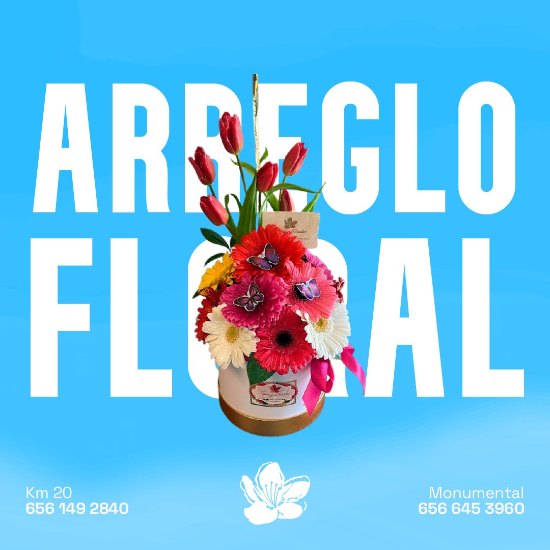 Arreglo de temporada🥰🌷🌼
Que nunca mueran los detalles😍
📞656 149 2840
#Floreria #flores #amor #pareja #juarez #regalo #ideas #parati #viral #envioadomicilio #novios