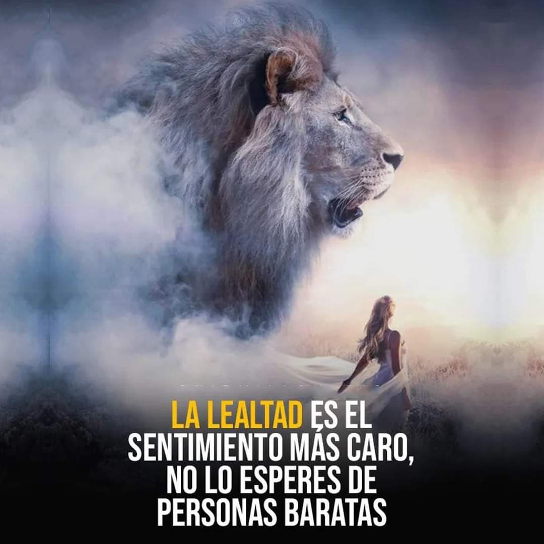 Literartee's tweet photo. https://t.co/H4TNdsAHmU
