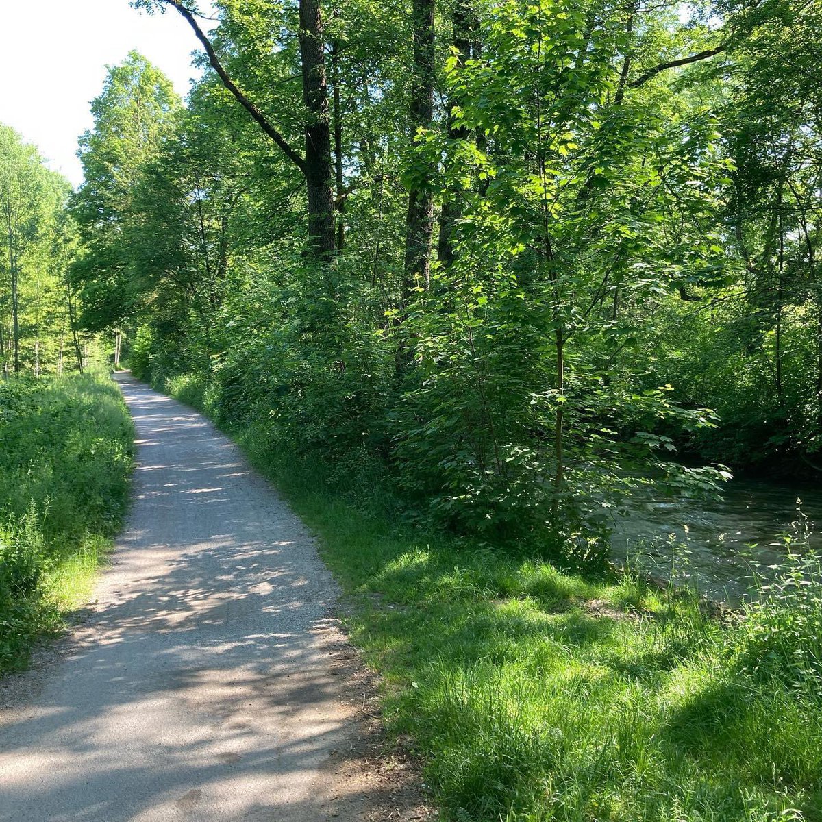 Heute eine Wanderung von Lochham nach Pasing gemacht.