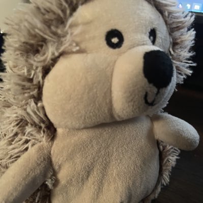 AnythingSpark's tweet photo. I love hedgehog more than anything https://t.co/yokO5RvfIi
