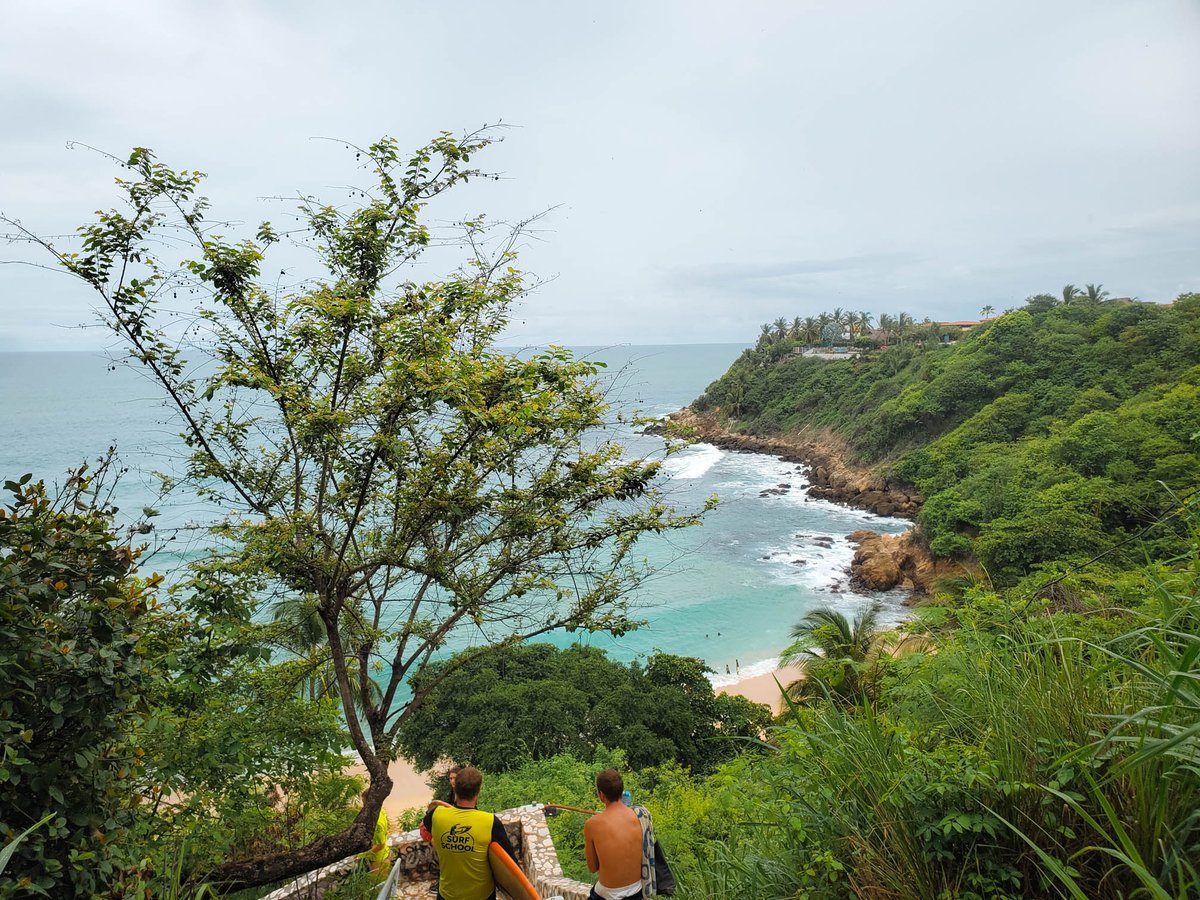 lifebeyondhome's tweet photo. If you want to visit a beach in Mexico that is still authentic to Mexico's culture, I suggest visiting Puerto Escondido in Oaxaca! Here are some awesome things to do there.  My favorite was swimming with wild dolphins!!!! #puertoescondido #oaxacamexico
https://t.co/rLc2HewAYV https://t.co/V3ZykKmFHG