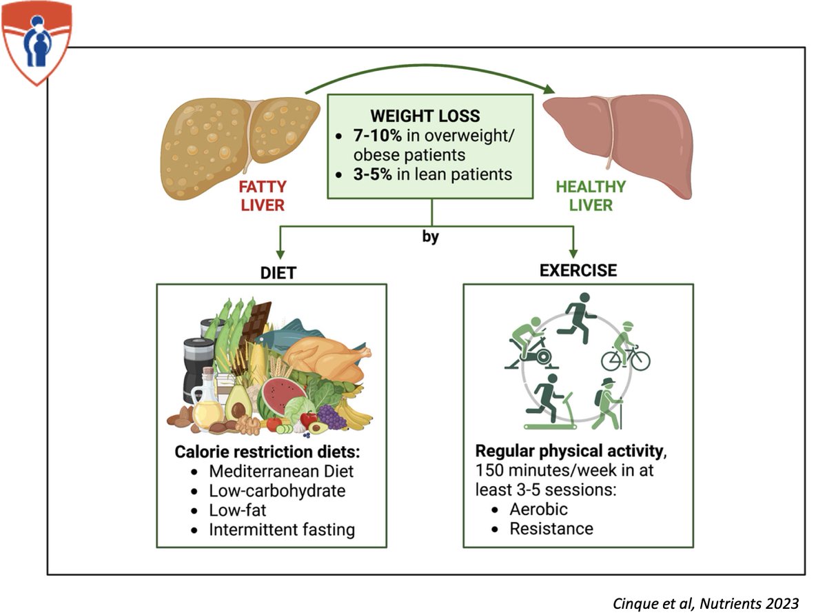 GiadaSebastiani's tweet photo. ✅Lecturing on the value of lifestyles for #liver health at the Quebec annual symposium on viral hepatites, greatly organized by @PNMVH_info
✅Wonderful to partner with @bemeur and @sebpoule
#NAFLD #cirrhosis #livertwitter @CASLupdates
@McGill_DOM @IDIGHProgram @CIHR_CTN #HCV https://t.co/zP1iZKcfuD