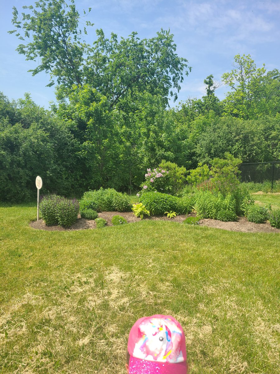 Ms_TCox's tweet photo. Another wonderful 🌞 day to explore our school neighbourhood  and structural features in our community 🌳. Ss questioned why specific natural/built structures are NEEDED in a community. #outdoorlearningisfun  @DP_EcoSchools  @StPhilipDPCDSB https://t.co/QWq4gnZwR7