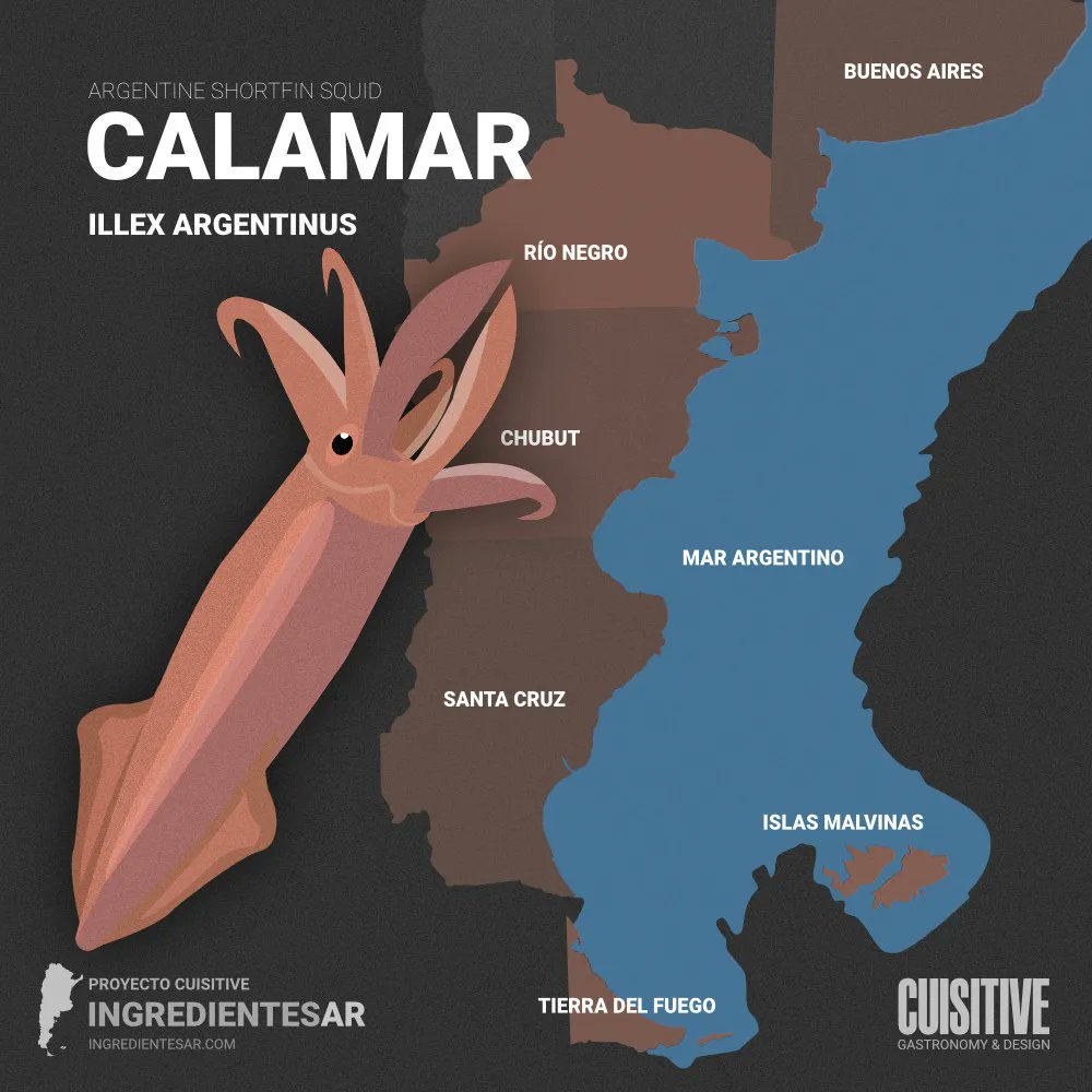 pablogarello_'s tweet photo. Nuestros pibes no comen pescado, una proteína excepcional comparada solo a la leche materna. Lo poco que se pesca acá es exportado (95%). Es indignante que miles de argentinos no hayan probado en su vida langostino, calamar corvinas o mejillones cuando hay millones en nuestro mar https://t.co/Dwajf2wmA6
