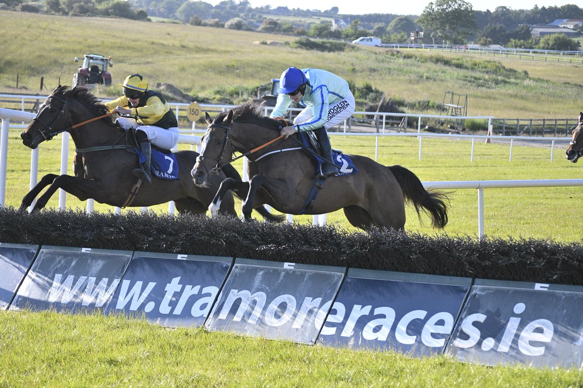 PCequinephoto's tweet photo. Bynx trained by ⁦@MartinHassett⁩ is a winner at Tramore 2/6/23 https://t.co/eCyO8NCd9E