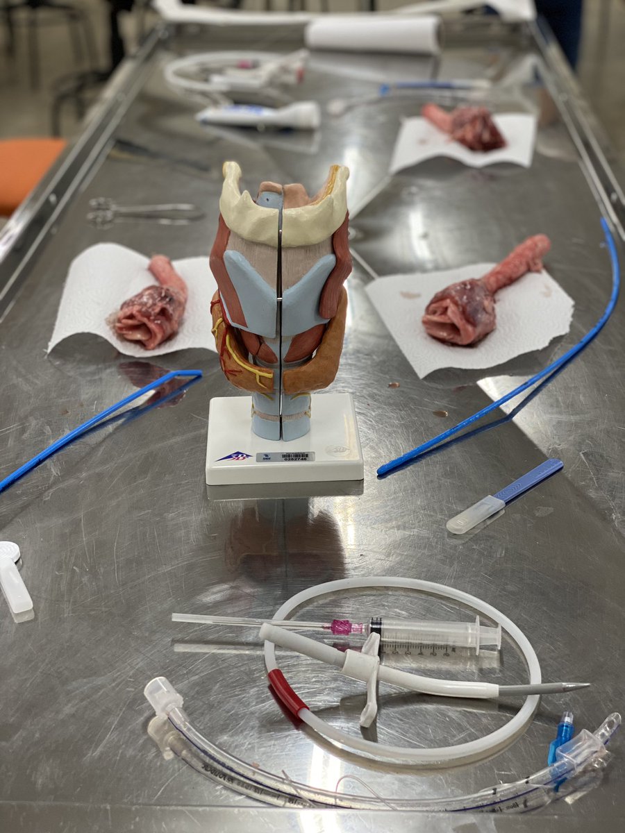 celoufba's tweet photo. Excellent learning opportunity in the organization and Participation as Instructor in the Advanced Airway Course of the Meeting of Anesthetists in Barreiras- Bahia-Brazil https://t.co/h4EDGNJLvb