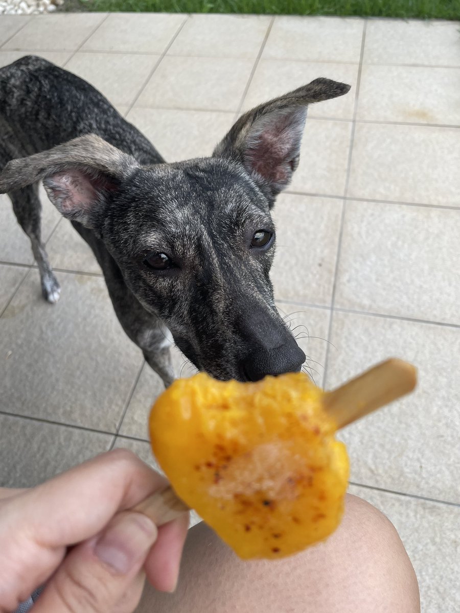 valchscoops's tweet photo. Catalina les recuerda que nuestras paletas de temporada de mango, limón y chamoy siguen disponibles 🥵🤩 https://t.co/ZnzJPlisXU