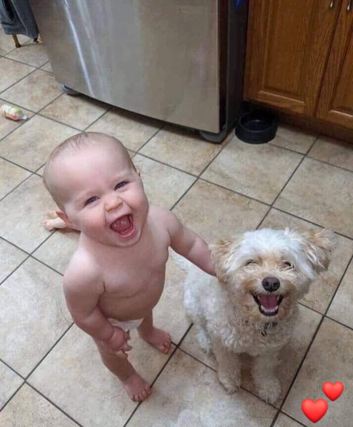 La foto es demasiado hermosa para no ser vista por todo el mundo! 🙃🤗 💕