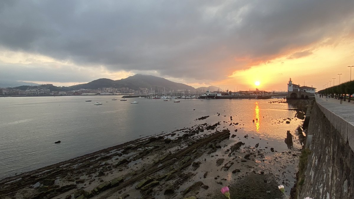 𝓥𝓲𝓻 📸 tweet media