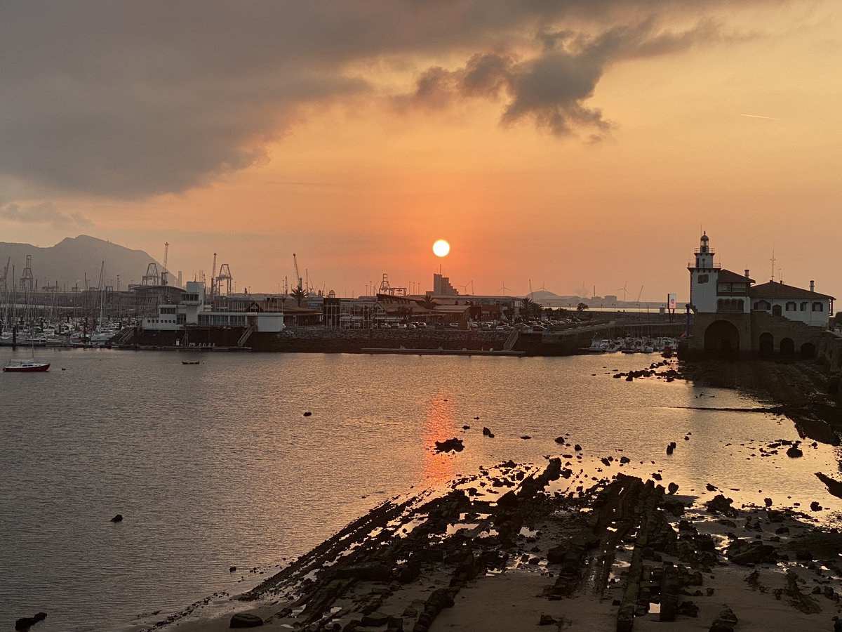 𝓥𝓲𝓻 📸 tweet media