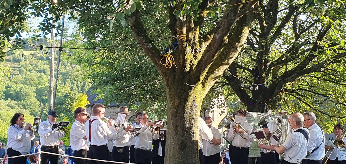 Crystal Palace Progress Band tweet media