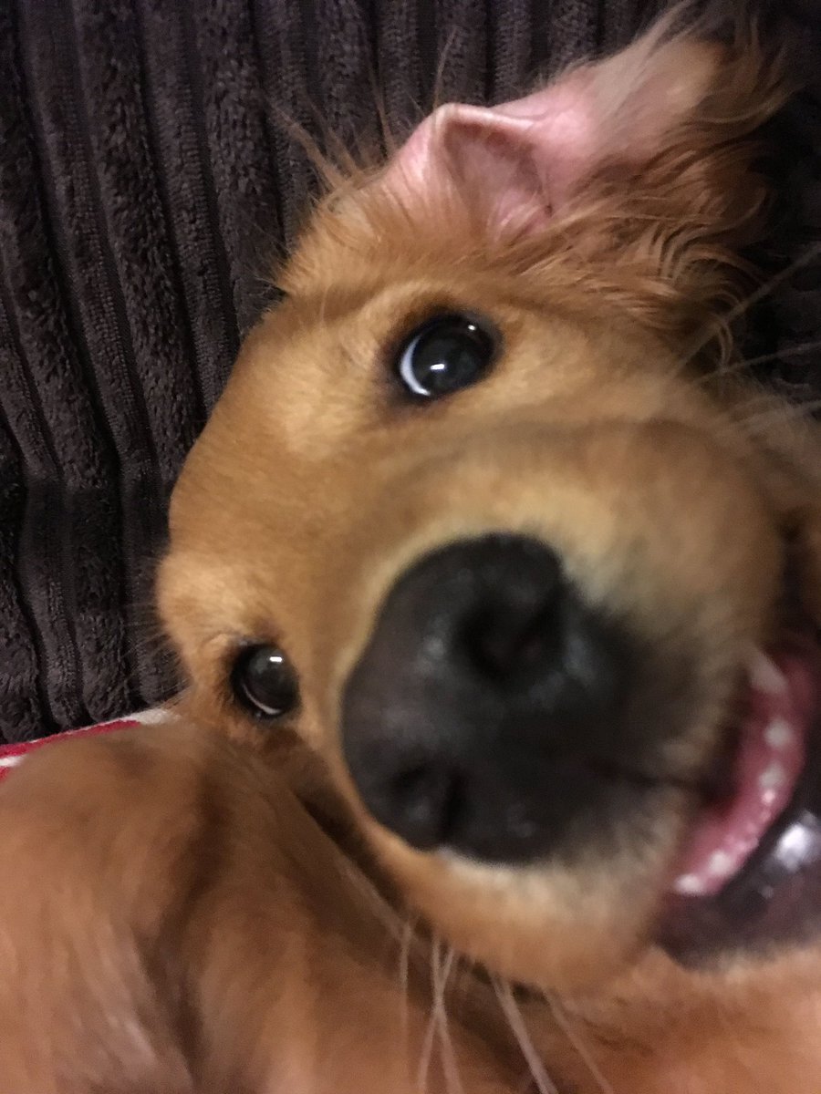 twaniimals's tweet photo. https://t.co/Wfh45ZEKFJ