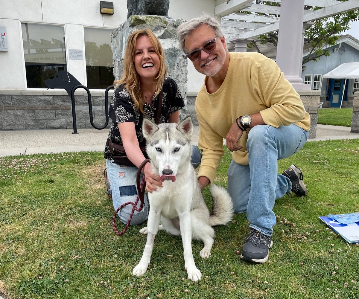 Welcome to the family! Tundra got a new bed and crate at the #spcaLAMarketplace and enrolled in our training classes - she is an spcaLA dog through and through!

#FriendsForLife #spcaLAadopt #spcaLAalum #HappyAdoption #AdoptDontShop