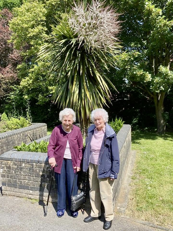 Dawson_Lodge's tweet image. Robina and Betty have created a good friendship and have been going for walks together in our beautiful grounds.
So lovely to see  🥰 🪴🏡🌞 ☀️ 🌤 
#friendships #sunnydays #springwalks @Dawson_Lodge @AnchorLaterLife @AnchorJobs @NAPAlivinglife @Artsincarehomes