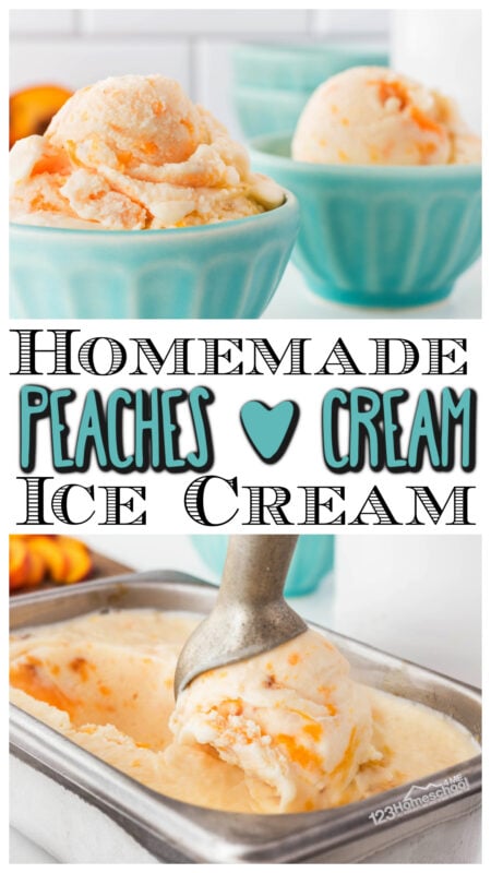 EASY, Homemade Peaches and Cream Ice Cream Recipe 123homeschool4me.com/easy-homemade-…