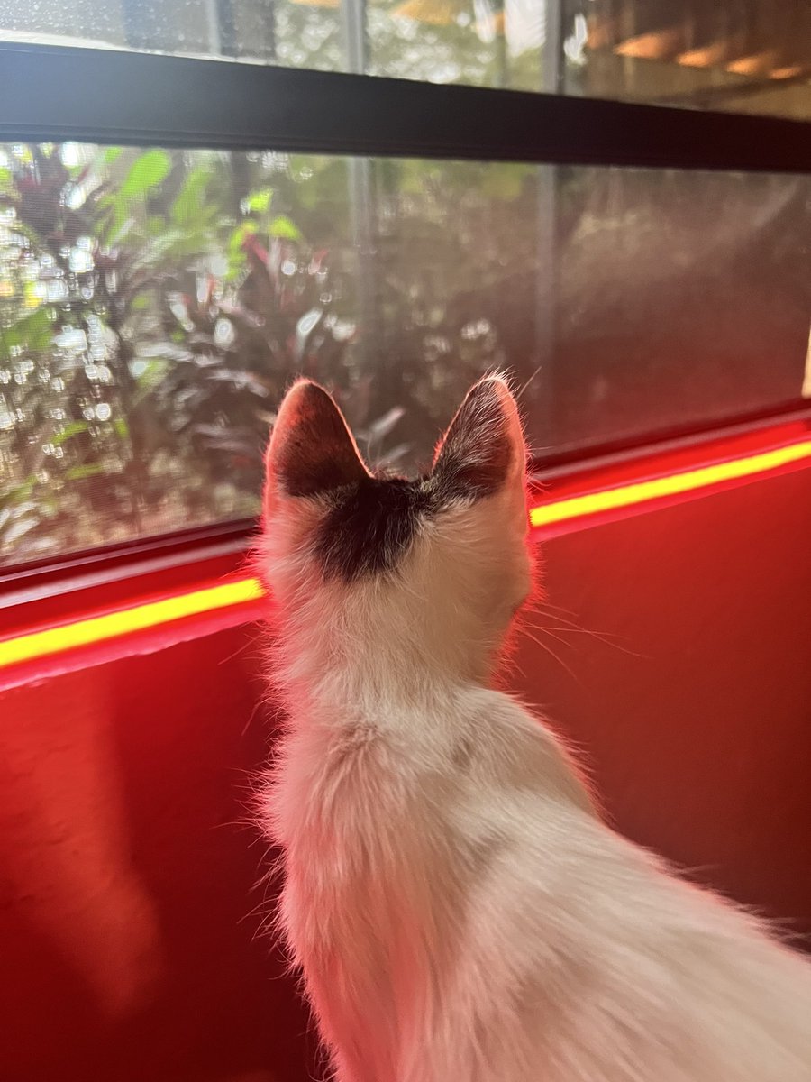 chocodr1lo's tweet photo. #AlAcecho https://t.co/Fo5yYBSmdA