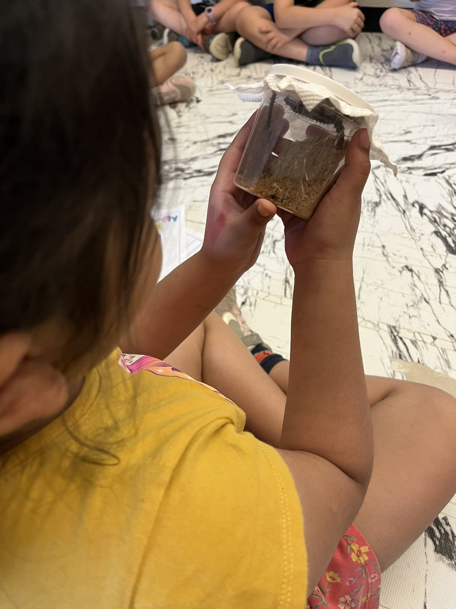 Mrs_NMurray's tweet photo. We have special guests joining our classroom this month.. CATERPILLARS🐛🐛🐛! Ss were so excited to begin observing them, &amp; recorded their noticings in their journals. We can’t wait to see what changes may happen after the weekend.. stay tuned!😁🔎#gr1 #science #observations https://t.co/BNFfSKN5uX